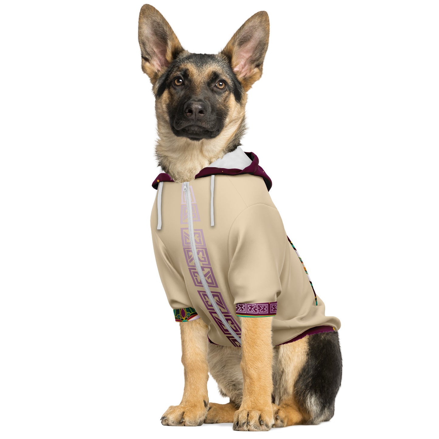 Pierre Stellaire Zip-Up